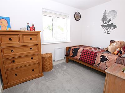 Picture 12
